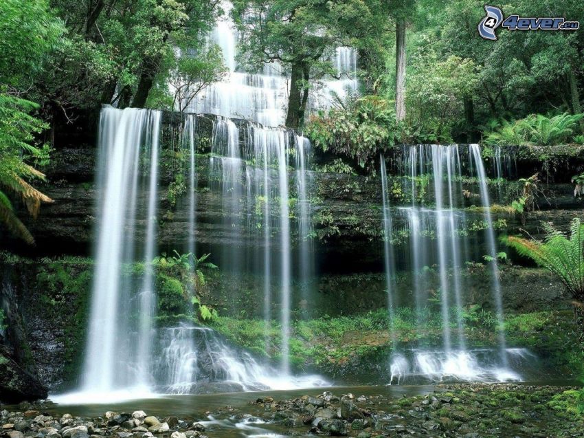 waterfalls, trees, greenery, cascades