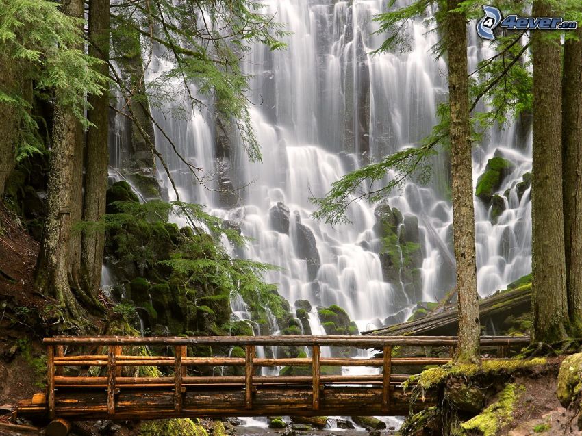 waterfalls, wooden bridge, trees