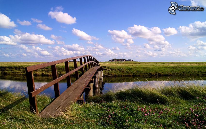 wooden bridge, River, meadow