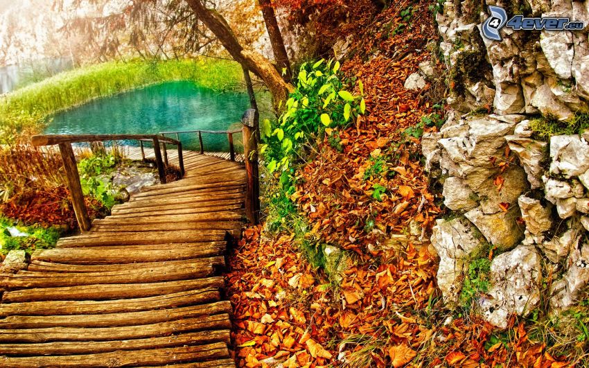 wooden bridge in a forest, lake, rock