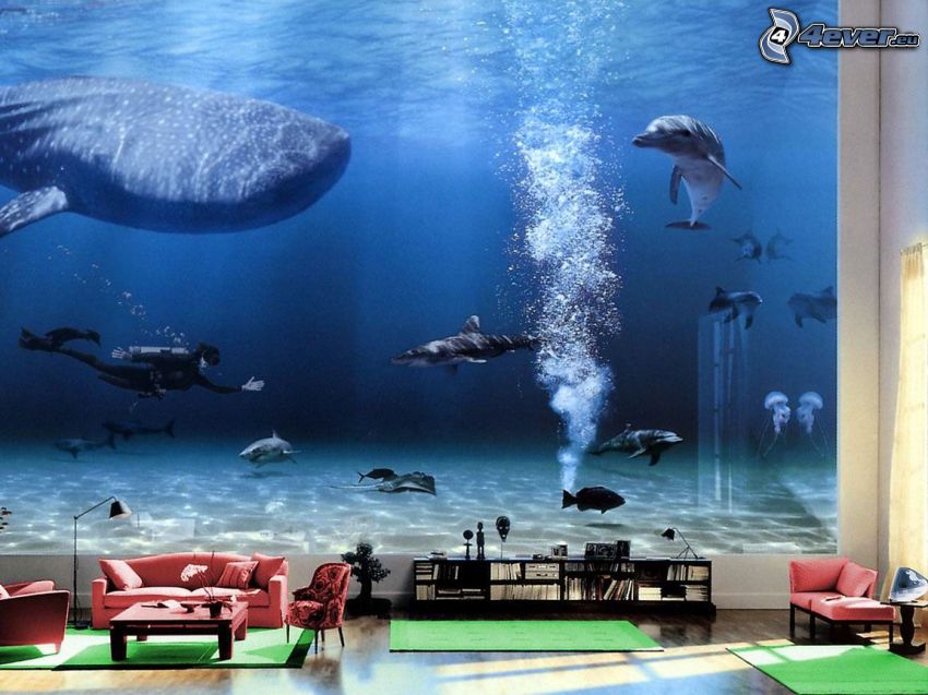 aquarium, wallpaper, living room
