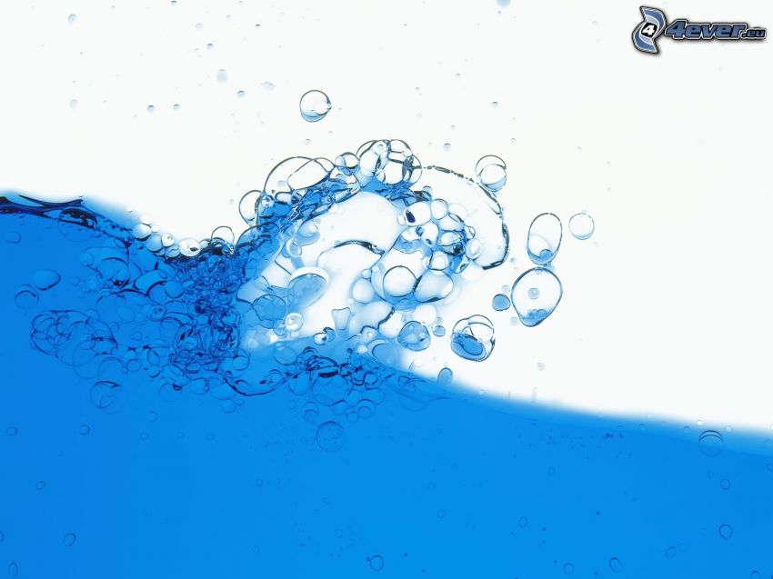 bubbles, oil, water