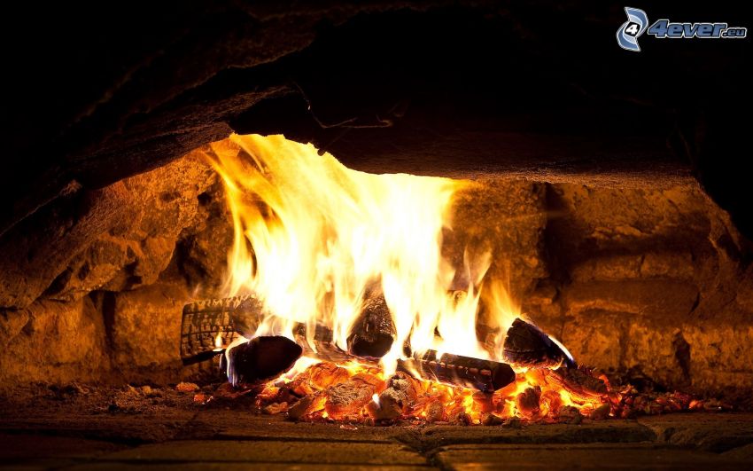 burning wood, fire, fireplace