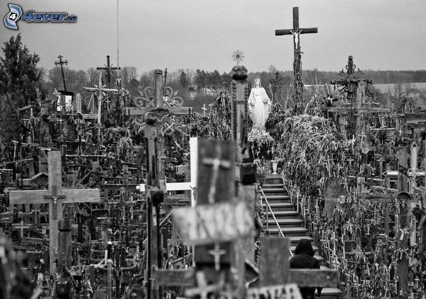 cemetery, crosses, black and white