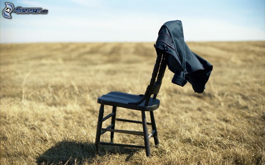 chair, field