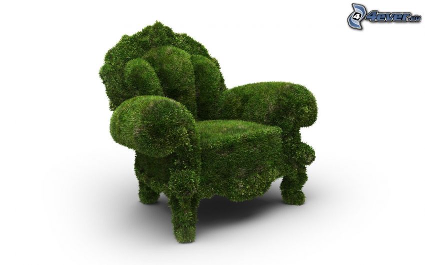 chair, moss