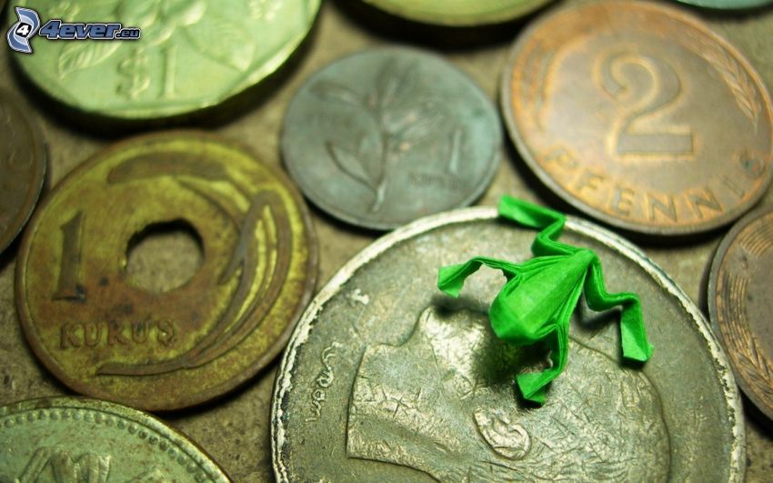 coins, frog