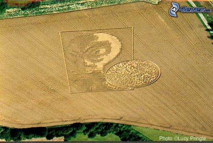 crop circles, alien, code, field