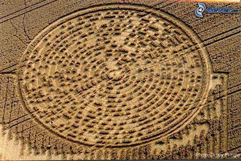 crop circles, code, message