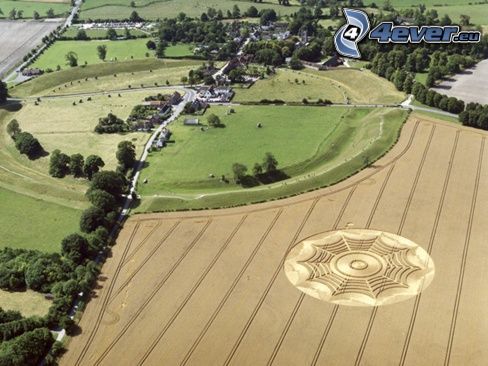 crop circles, field, village