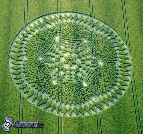 crop circles, field