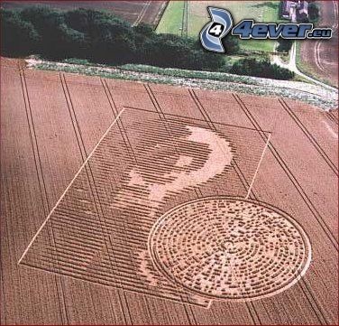 crop circles, message, field