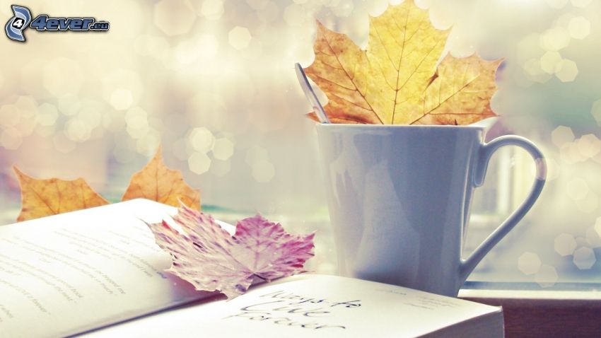 cup, book, dry leaves