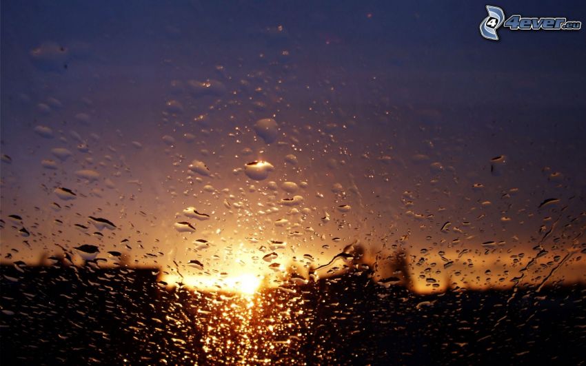 dewy glass, drops of water, sunset