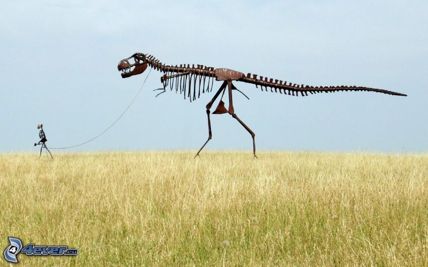 dinosaur, skeleton, field