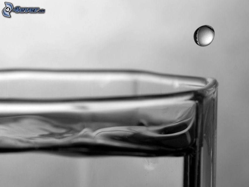 drop of water, cup, black and white