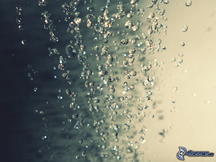 drops of water, dewy glass