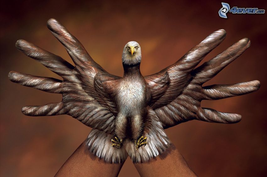 eagle, hands, bodypainting