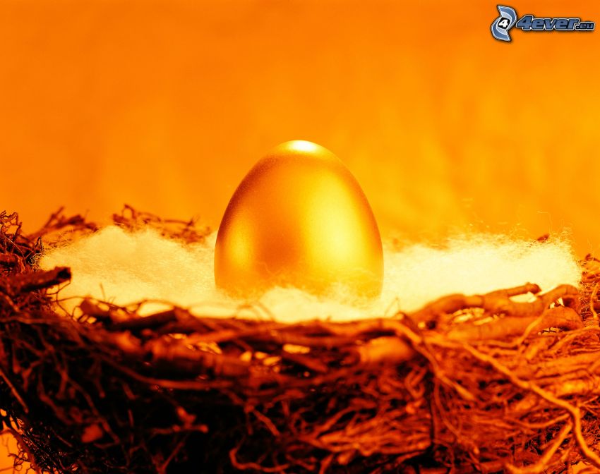 egg, gold, nest