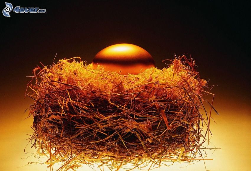 egg, gold, nest
