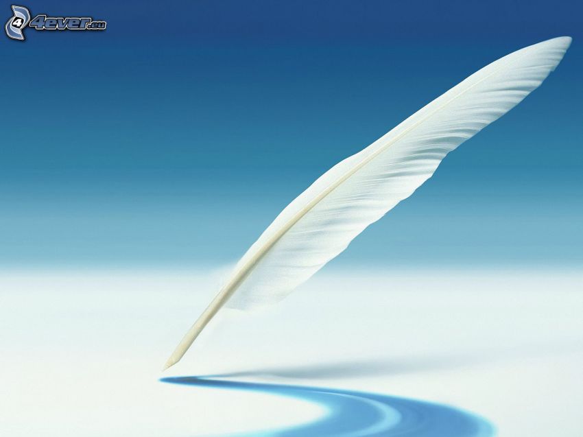 feather, blue background