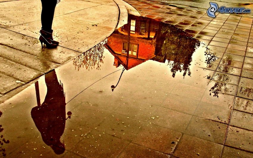 fen, sidewalk, reflection