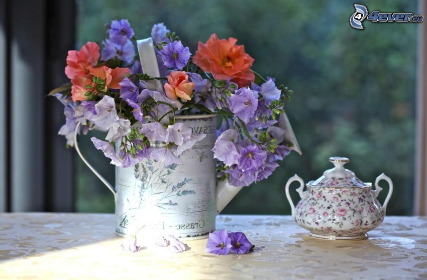 field flowers, watering-can, teapot