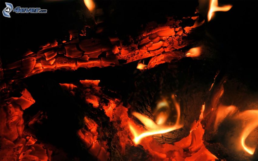 fire, wood, flames, hot coals