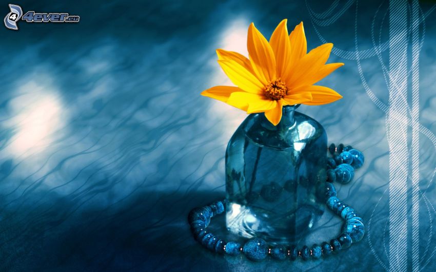 flower in vase, necklace