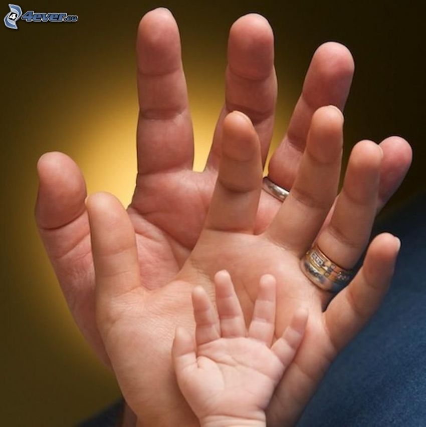 hands, family