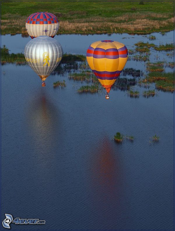 hot air balloons, swamp