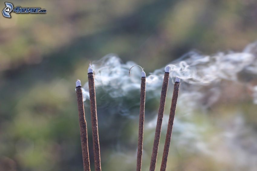 incense sticks, smoke