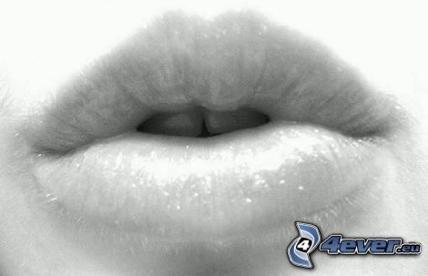 mouth, lips