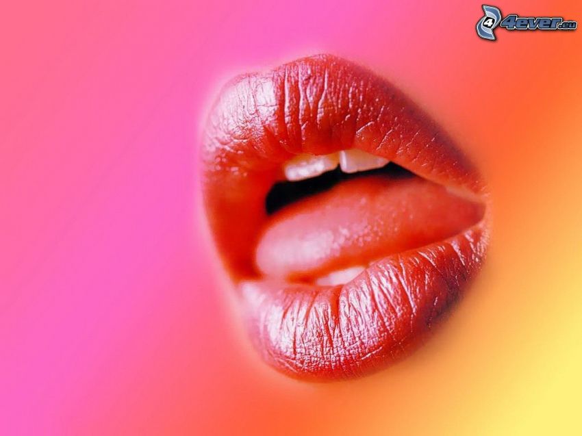 mouth, tongue, teeth, lips