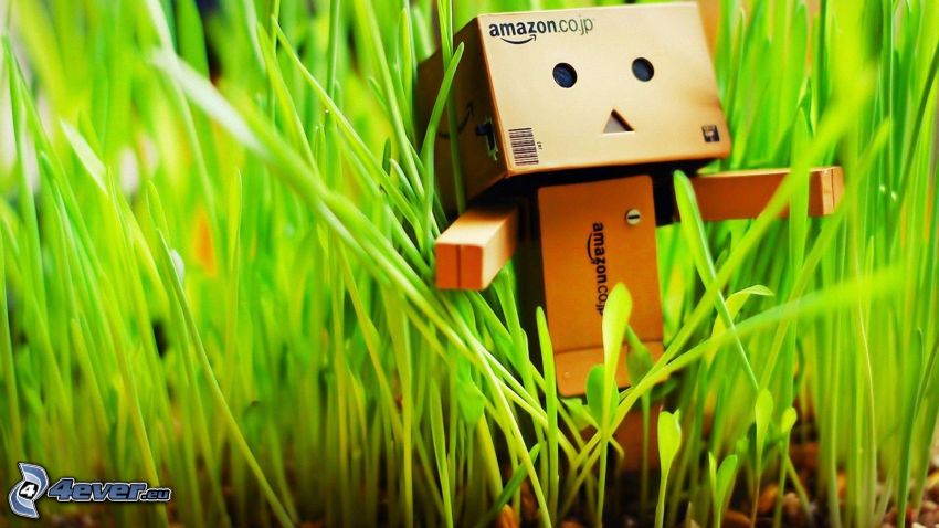 paper robot, grass