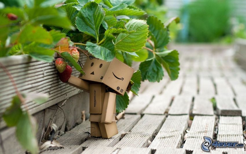 paper robot, strawberries, wood