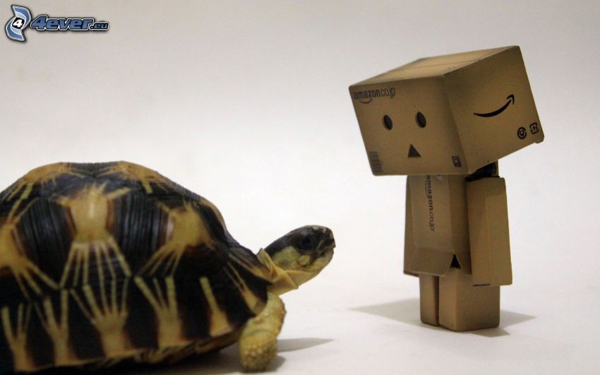 paper robot, turtle