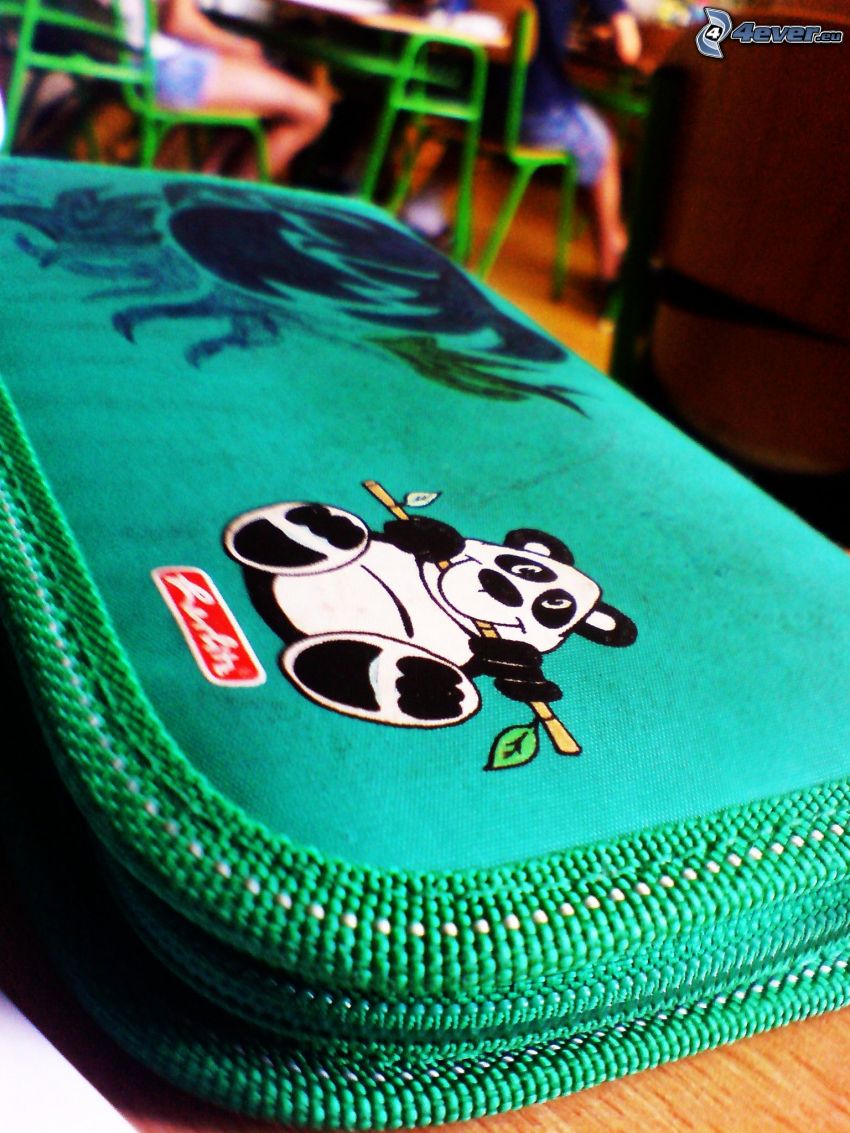 pencil case, school, panda