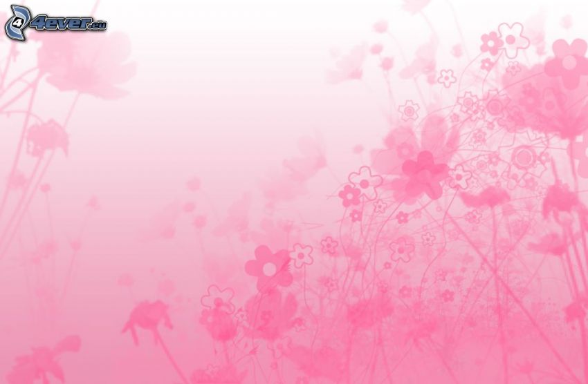 pink background, digital flowers