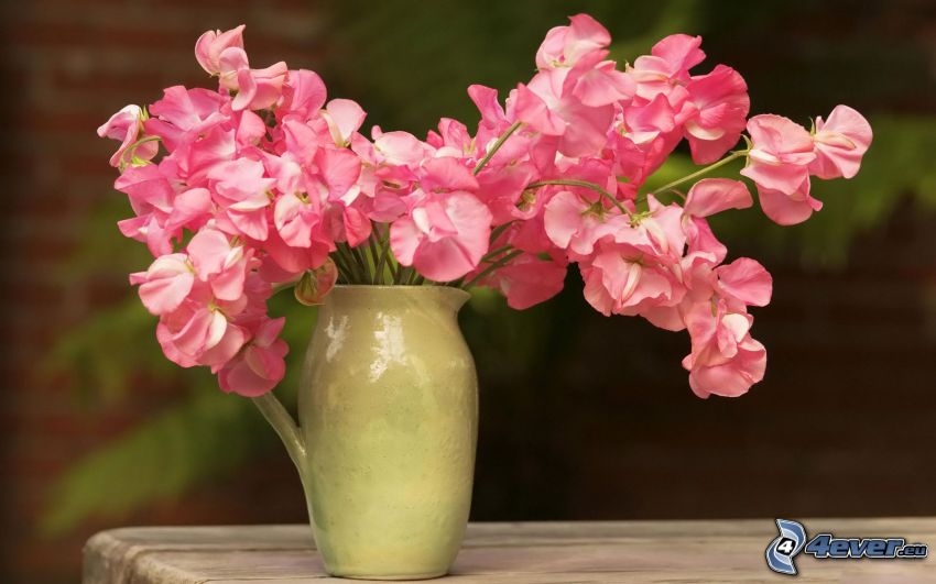 pink flowers, flowers in a vase