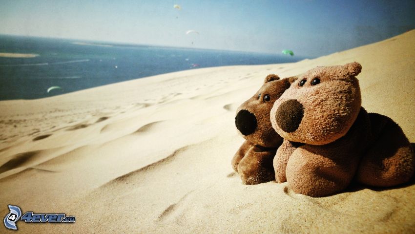 plush dog, beach, sea