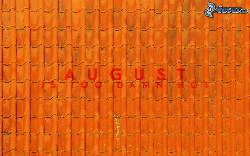 roof, August