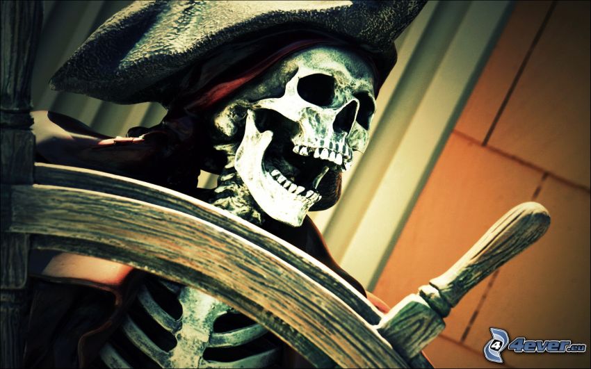skeleton, pirate