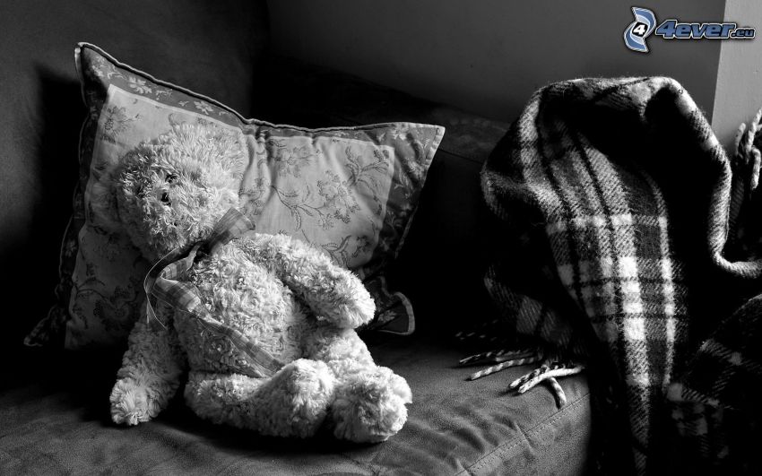 teddy bear, blanket, couch