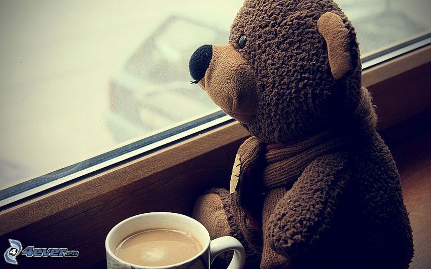 teddy bear, cup of coffee