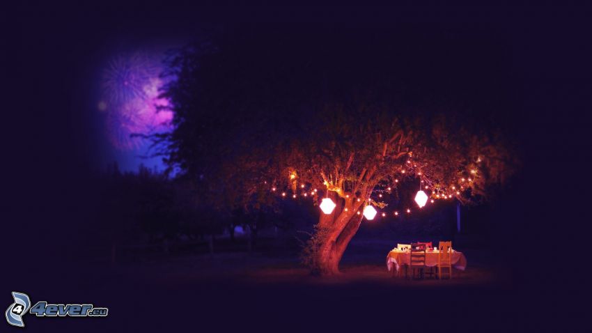 tree, sitting, lights