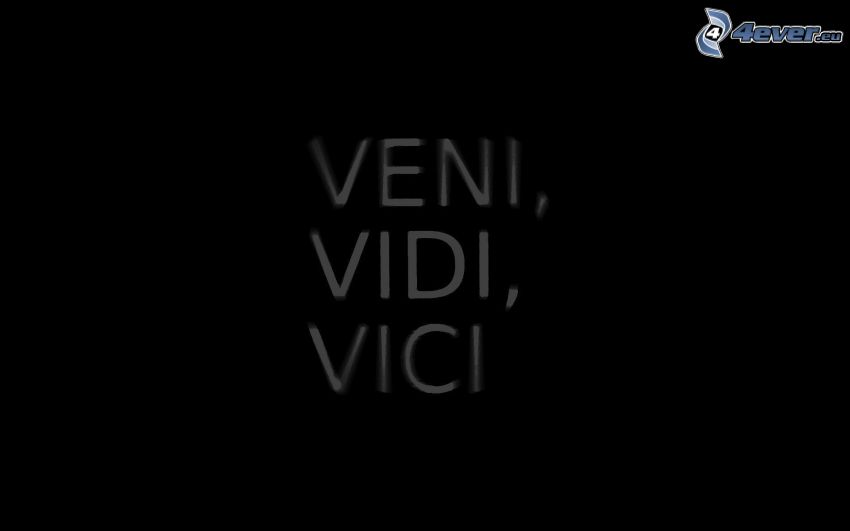 translation veni vidi vici