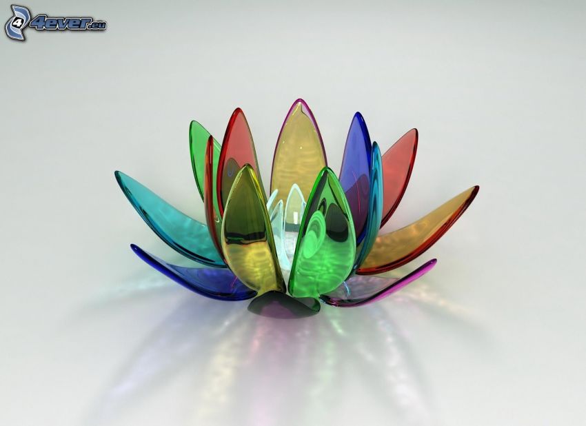 water lily, glass, colored