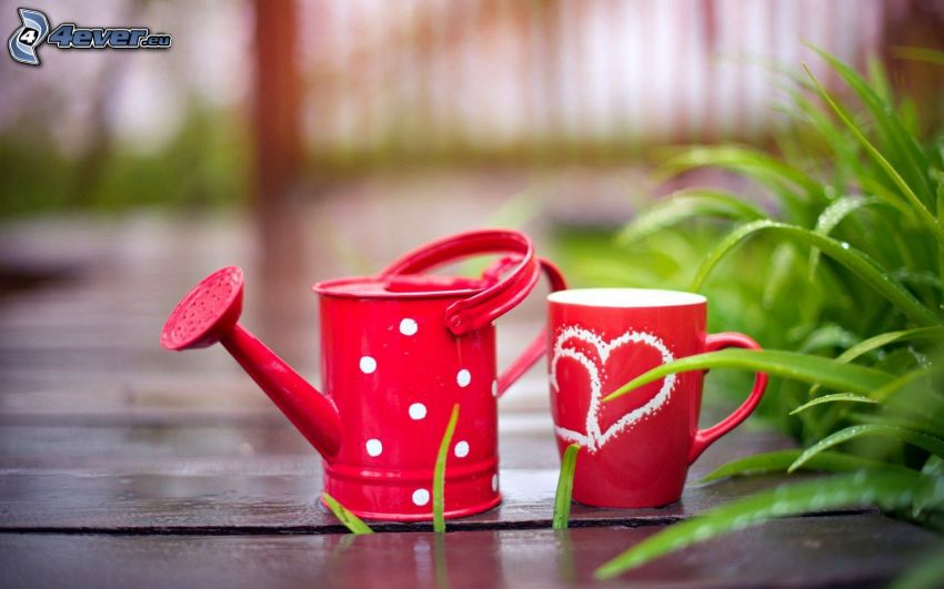 watering-can, cup, hearts