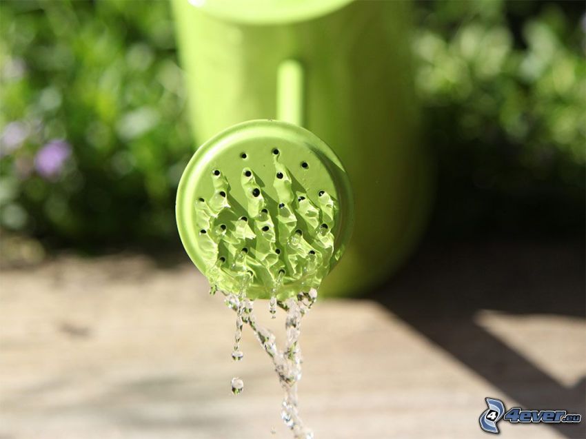 watering-can, water